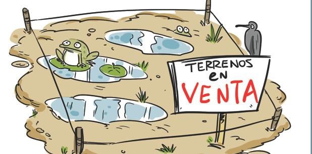 (mbayon@primerahora.com) (mbayon@primerahora.com)